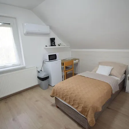 Pensjonat Omni Vendeghaz Bük
